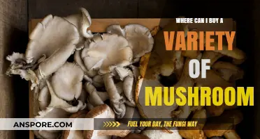 Discover Diverse Mushroom Varieties: Top Places to Buy Fresh Fungi
