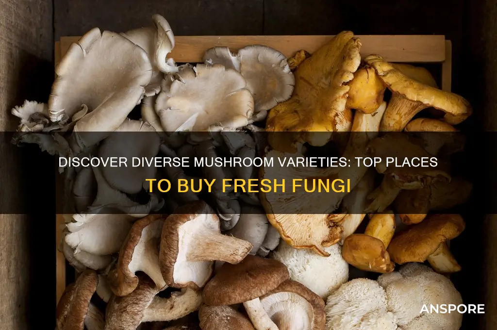 where can i buy a variety of mushrooms
