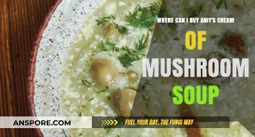 Where to Buy Amy's Cream of Mushroom Soup: A Guide
