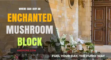 Discover Enchanted Mushroom Blocks: Top Stores to Purchase Your Magical Find