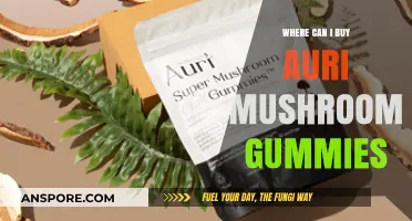 Discover Top Retailers to Buy Auri Mushroom Gummies Online & In-Store