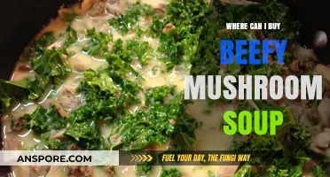 Best Places to Buy Beefy Mushroom Soup: A Tasty Guide