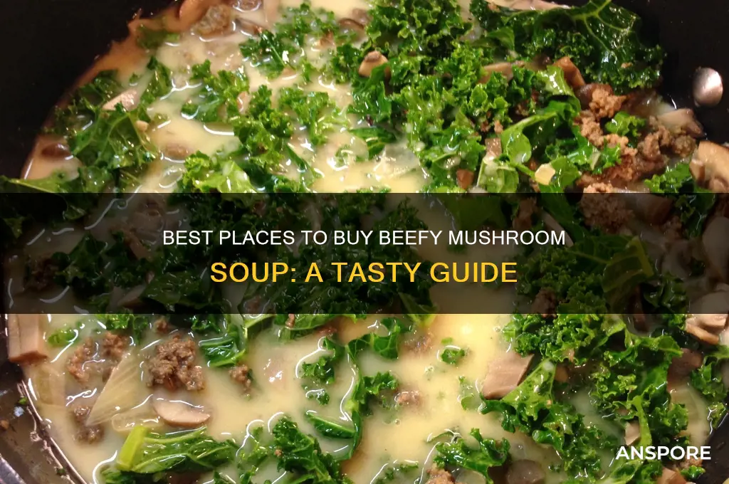 where can i buy beefy mushroom soup