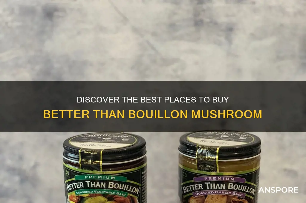 where can i buy better than bouillon mushroom
