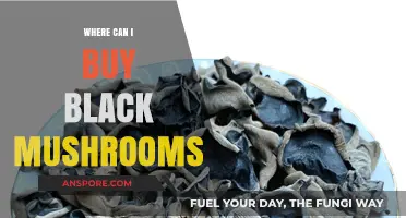 Discover the Best Places to Buy Black Mushrooms Online and Locally