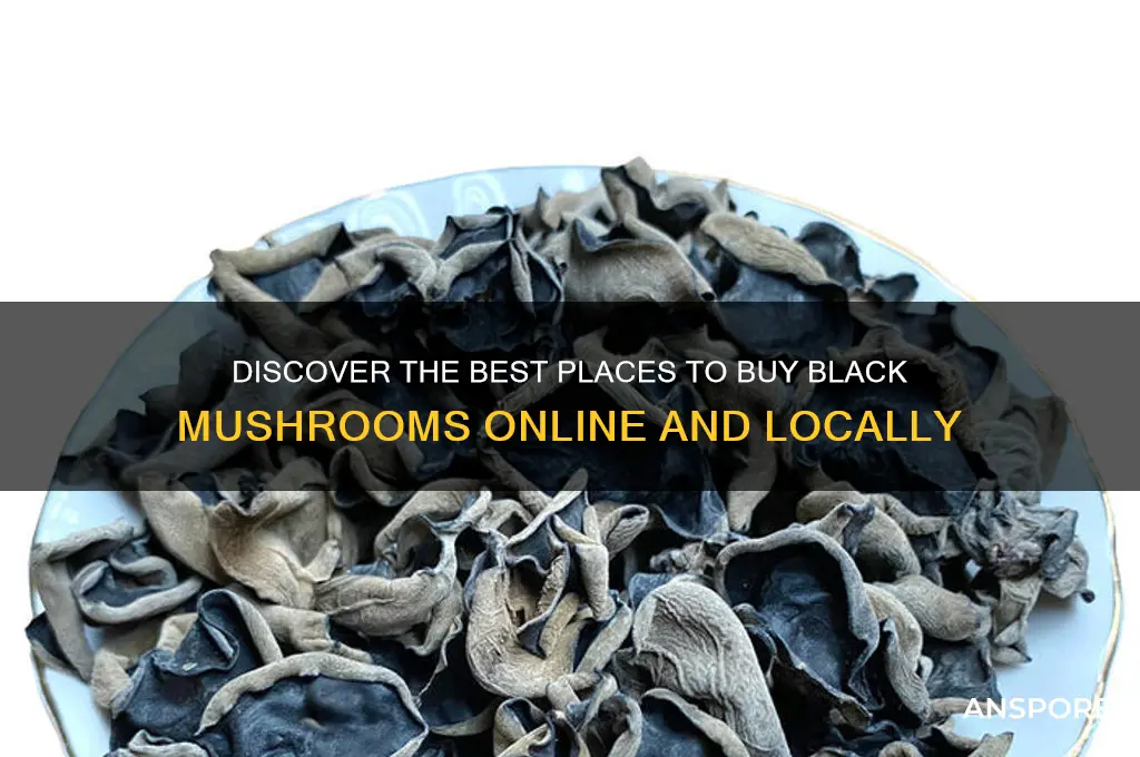 where can i buy black mushrooms