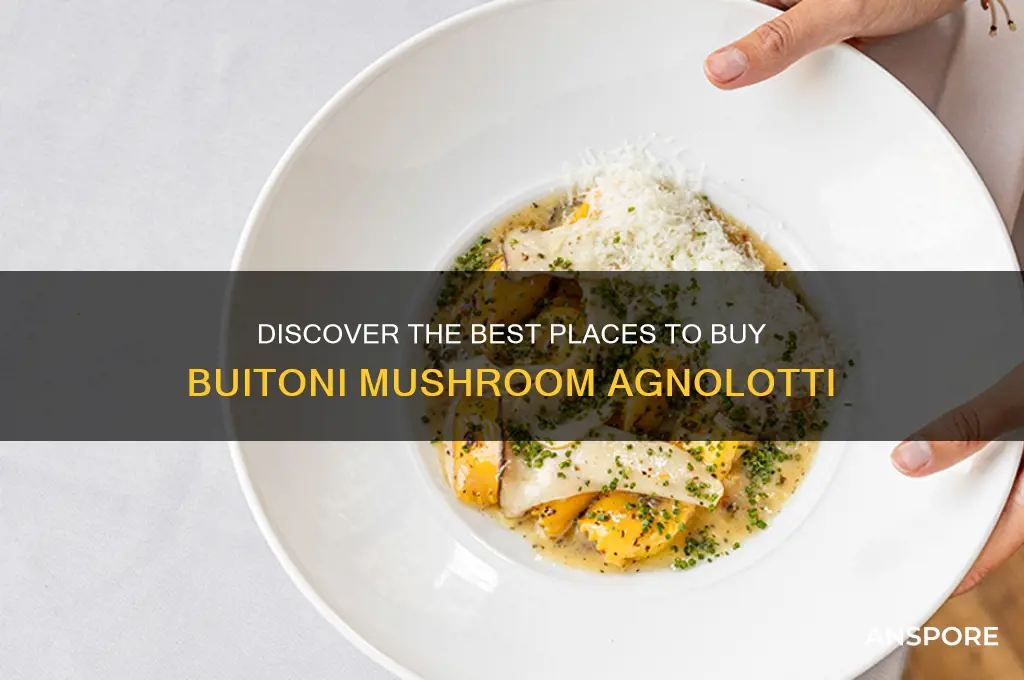 where can i buy buitoni mushroom agnolotti