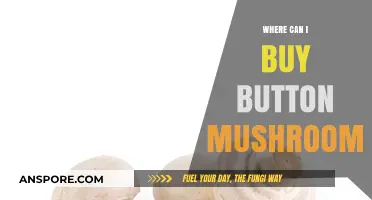 Where to Buy Button Mushrooms: Top Stores and Online Options