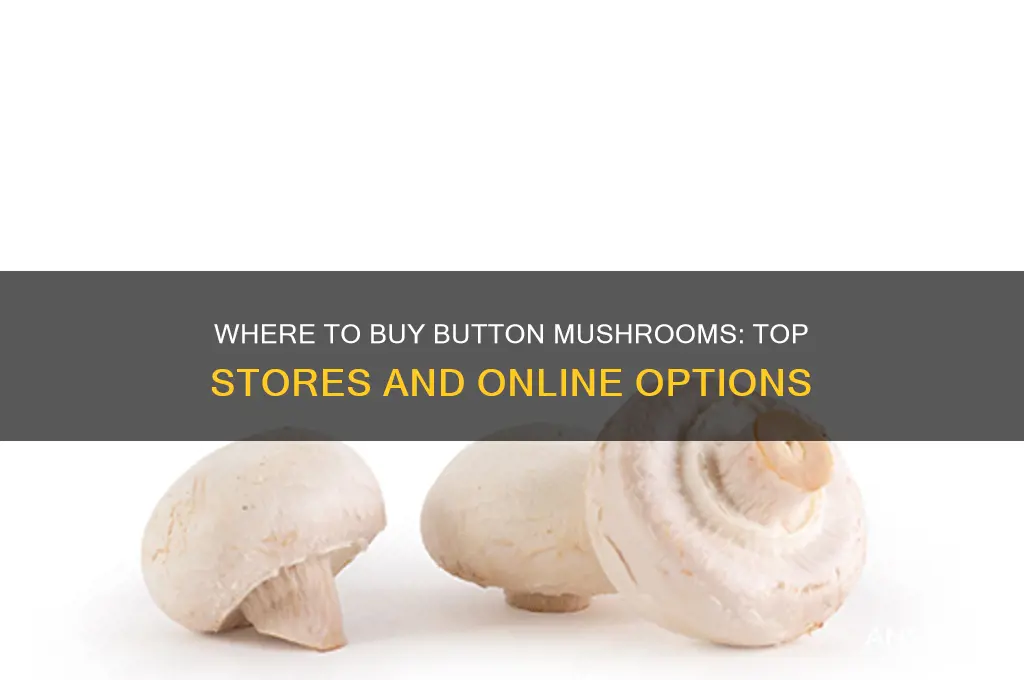 where can i buy button mushrooms