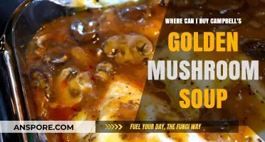 Where to Buy Campbell's Golden Mushroom Soup: Top Retailers & Online Options