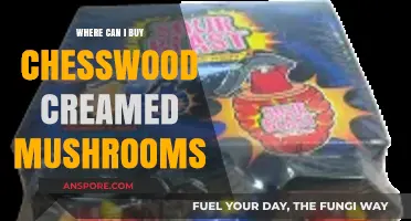 Where to Buy Chesswood Creamed Mushrooms: A Tasty Guide