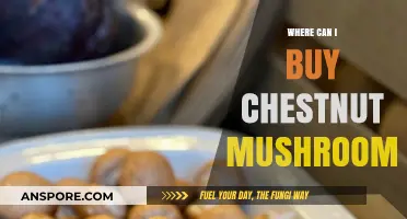 Discover the Best Places to Buy Fresh Chestnut Mushrooms