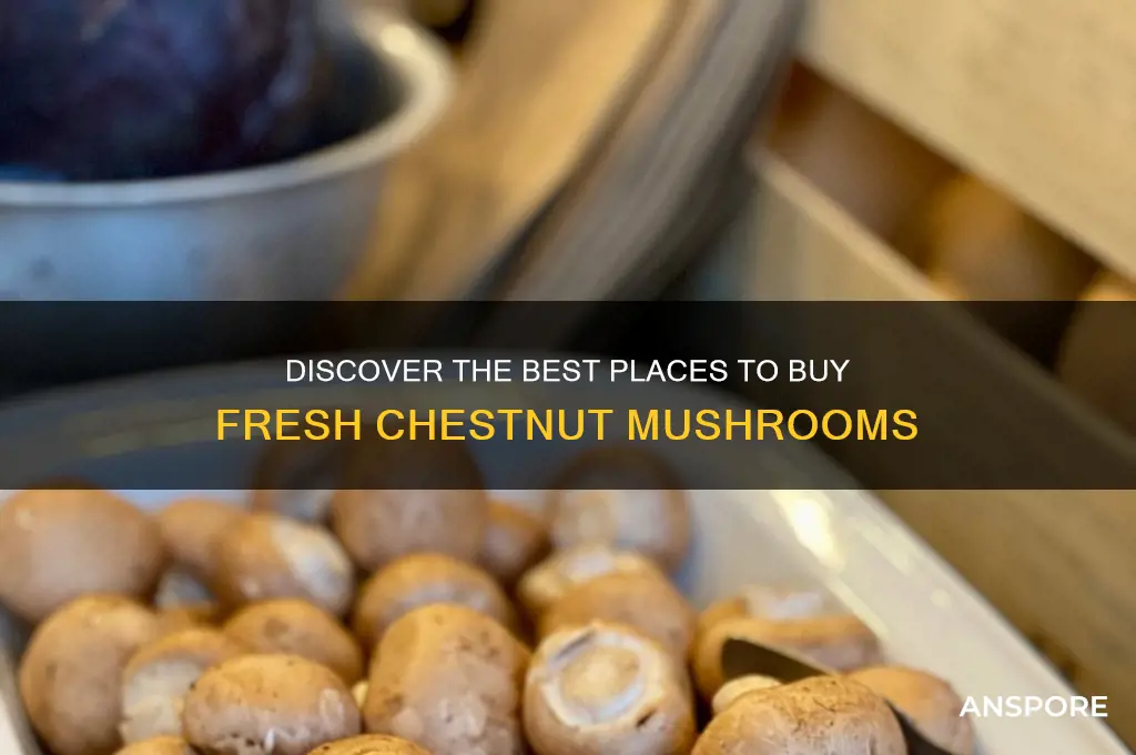 where can i buy chestnut mushrooms