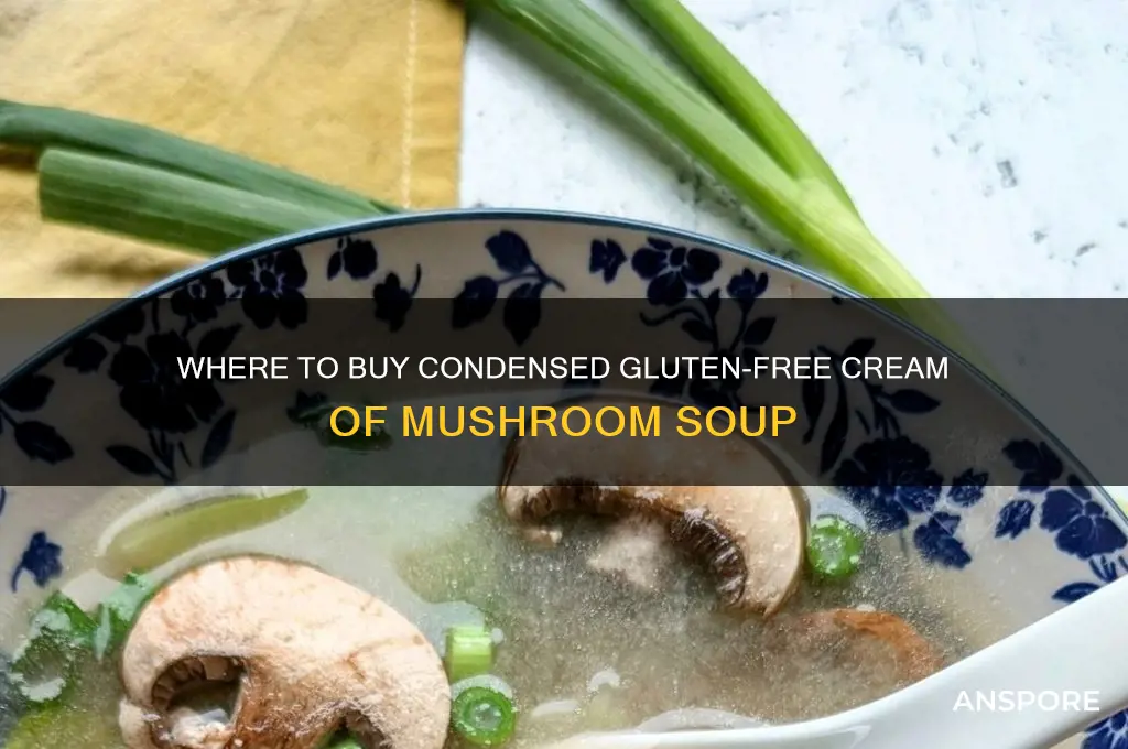where can i buy condensed gluten free cr mushroom soup