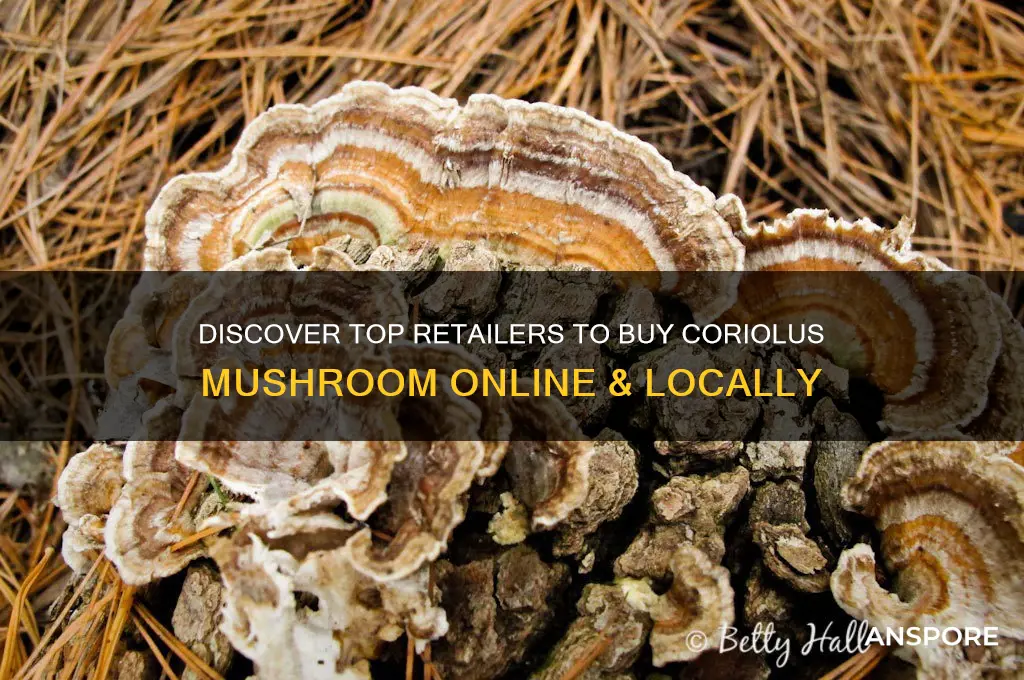 where can i buy coriolus mushroom