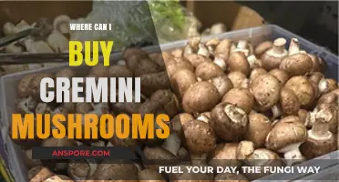 Where to Buy Cremini Mushrooms: Top Retailers and Local Sources