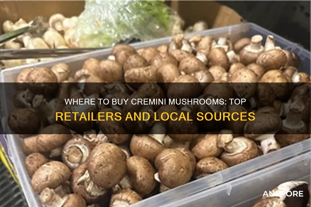 where can i buy cremini mushrooms