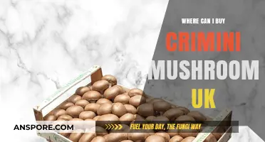 Where to Buy Crimini Mushrooms in the UK: Top Retailers and Tips
