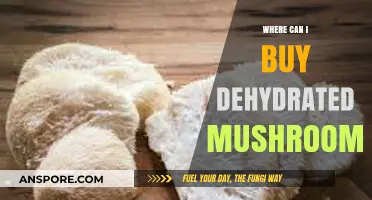 Discover Top Retailers to Buy Dehydrated Mushrooms Online & In-Store