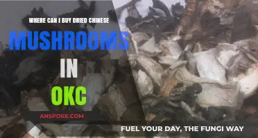 Where to Buy Dried Chinese Mushrooms in Oklahoma City