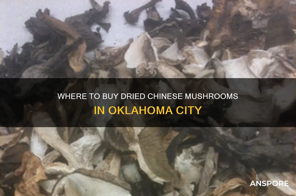 where can i buy dried chinese mushrooms in okc