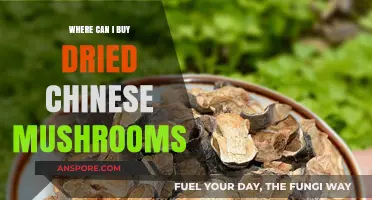 Best Places to Buy Dried Chinese Mushrooms Online and Locally