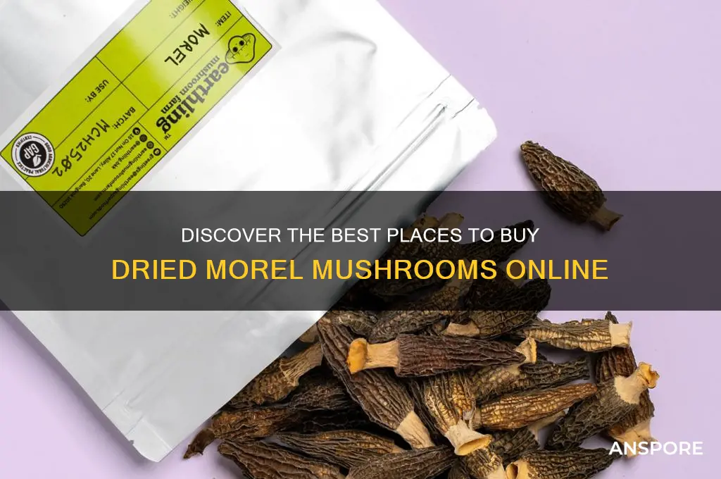 where can i buy dried morel mushrooms