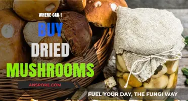 Discover the Best Places to Buy Dried Mushrooms Online & Locally