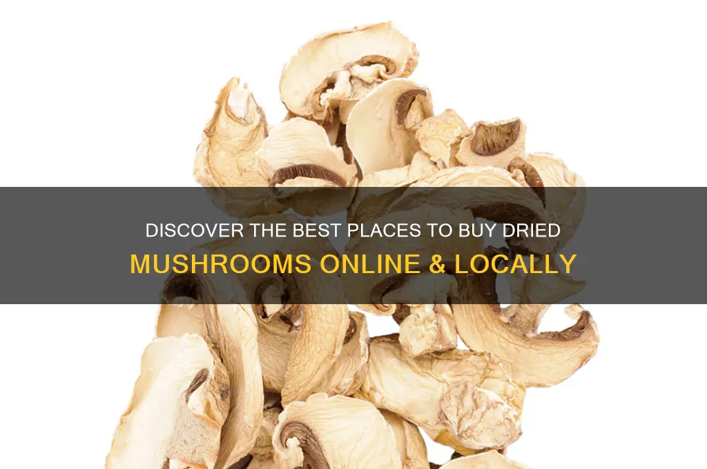 where can i buy dried mushrooms