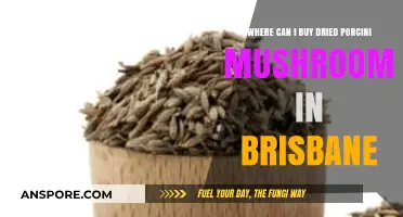 Brisbane's Best Spots to Buy Dried Porcini Mushrooms