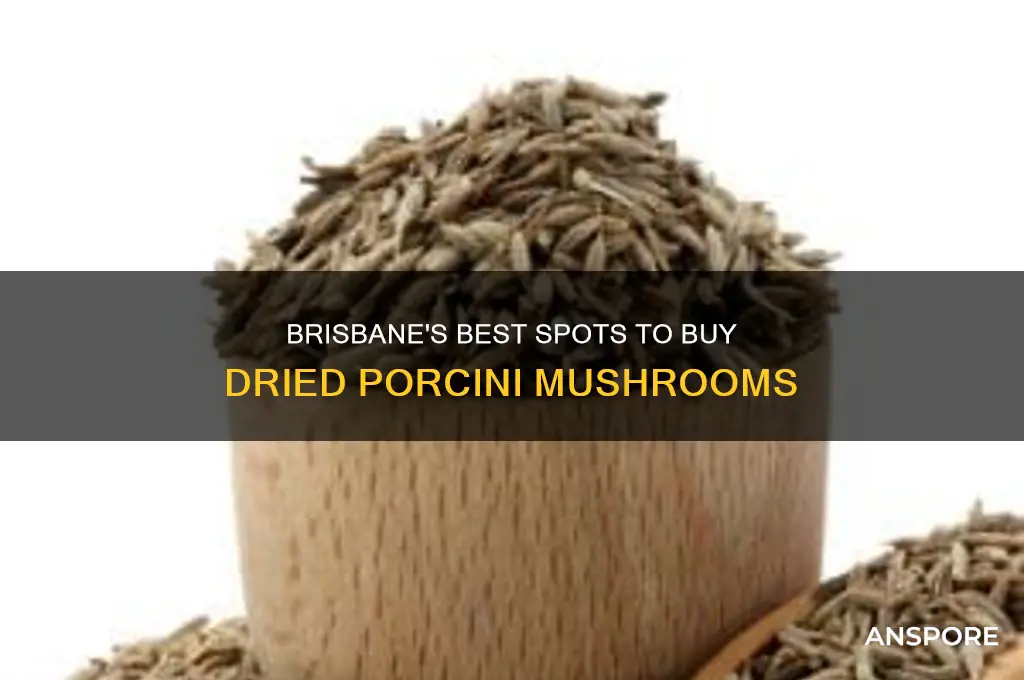 where can i buy dried porcini mushrooms in brisbane