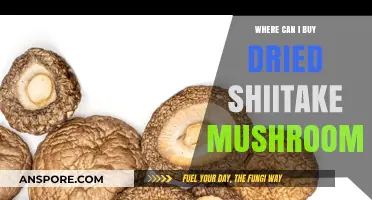 Best Places to Buy Dried Shiitake Mushrooms: A Shopper's Guide