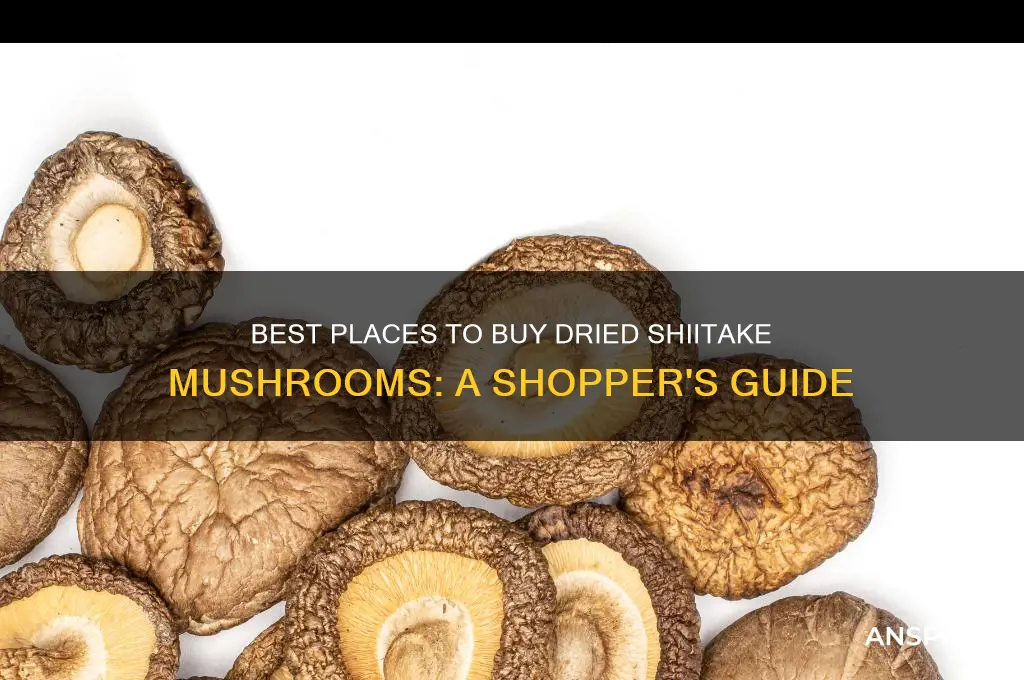 where can i buy dried shiitake mushrooms
