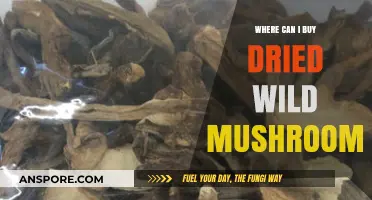 Discover the Best Places to Buy Dried Wild Mushrooms Online