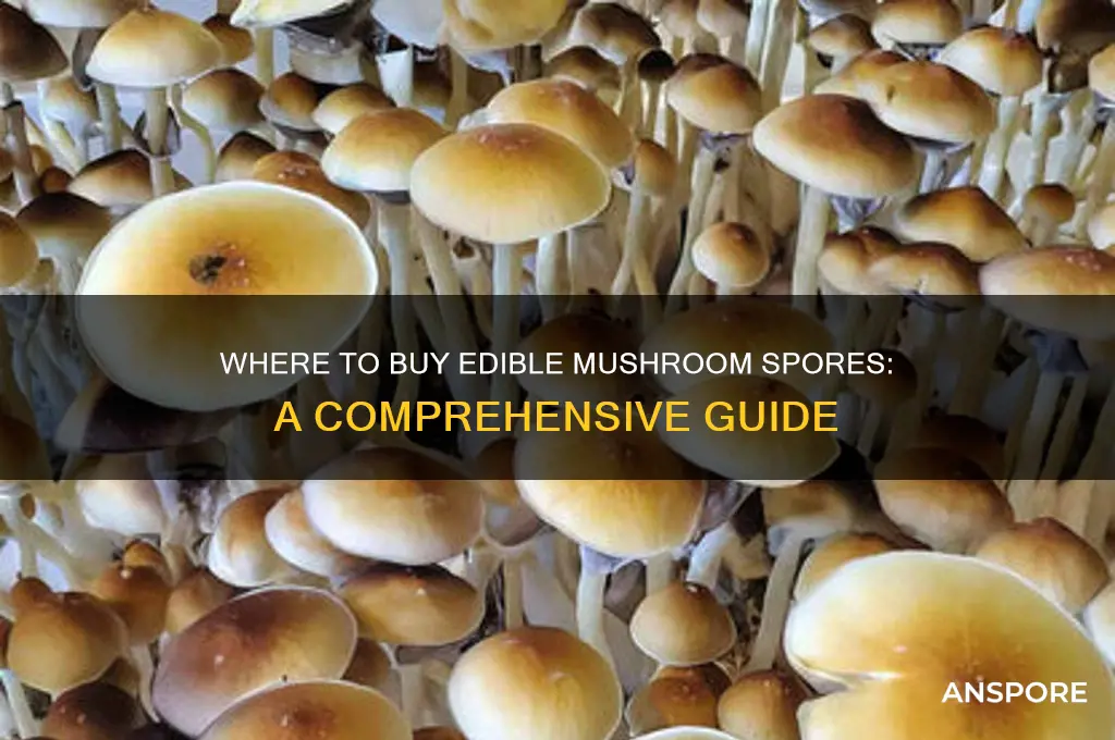 where can i buy edible mushroom spores