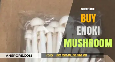 Where to Buy Enoki Mushrooms: Top Retailers and Online Sources