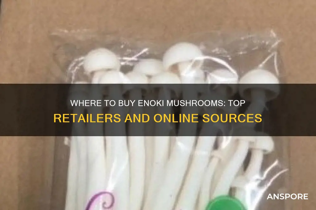 where can i buy enoki mushroom