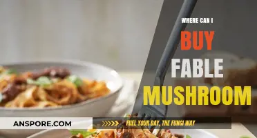 Discover the Best Places to Buy Fable Mushrooms Online and Locally