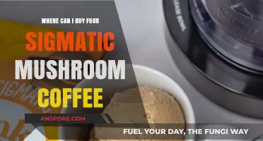 Discover Where to Buy Four Sigmatic Mushroom Coffee Online
