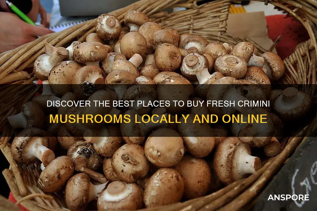 where can i buy fresh crimini mushrooms 3f
