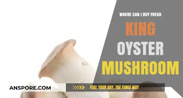 Discover Top Spots to Buy Fresh King Oyster Mushrooms