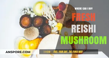 Discover Top Sources to Buy Fresh Reishi Mushrooms Locally & Online