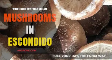 Discover Escondido's Best Spots for Fresh Shiitake Mushrooms