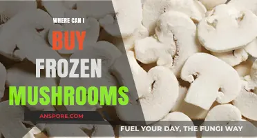 Where to Buy Frozen Mushrooms: Top Retailers and Online Options