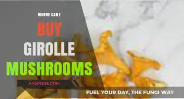 Where to Buy Girolle Mushrooms: A Shopper's Guide
