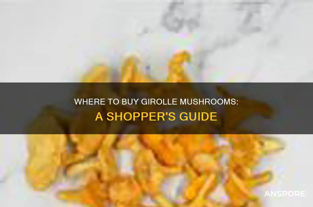 where can i buy girolle mushrooms