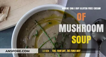 Discover Gluten-Free Cream of Mushroom Soup: Top Stores & Brands