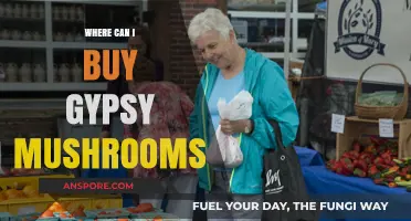 Where to Buy Gypsy Mushrooms: A Comprehensive Guide for Enthusiasts
