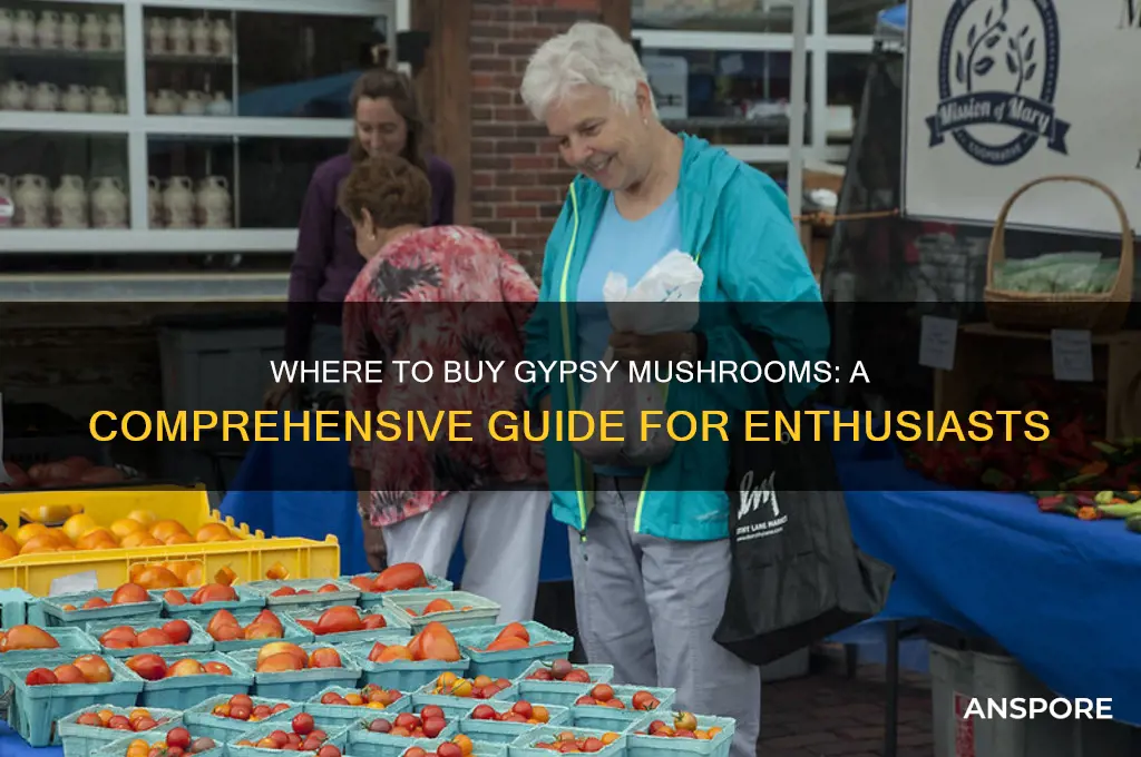 where can i buy gypsy mushrooms