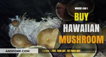 Discover Authentic Hawaiian Mushrooms: Top Sources to Purchase Online & Locally